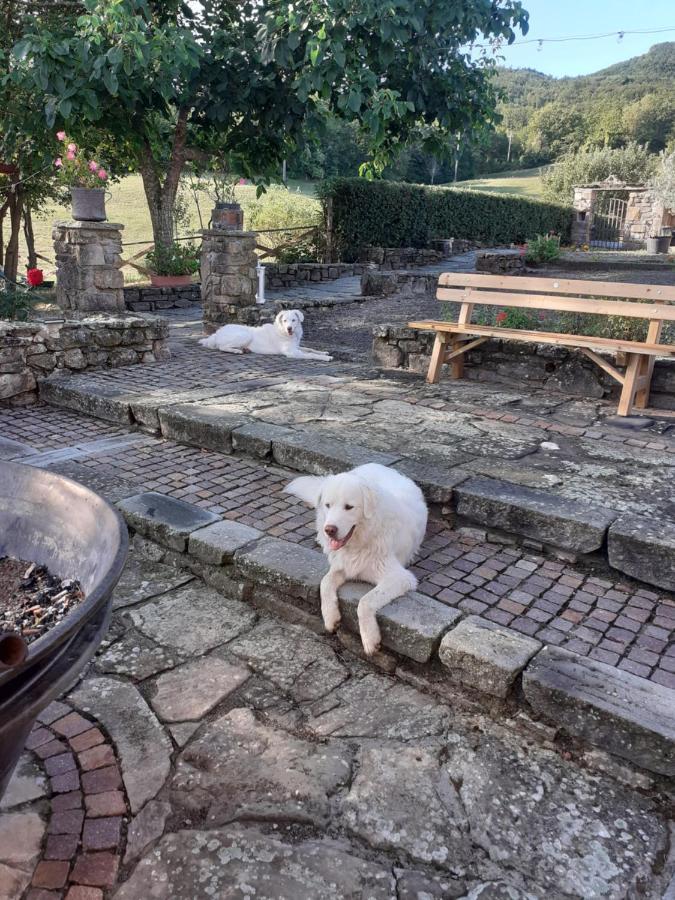 "Borgo Gerbina" Agriturismo & Azienda Agricola Sozzi Екстериор снимка